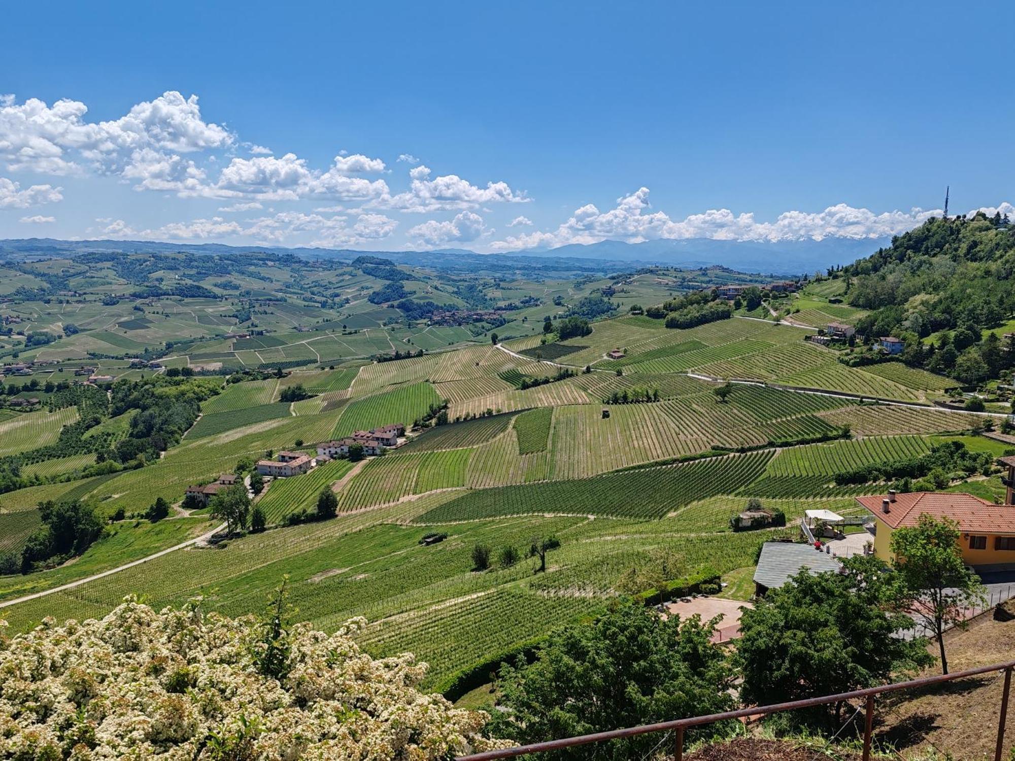 Tour In Langhe Apartment ลามอร์รา ภายนอก รูปภาพ